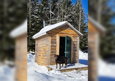 Chien à l'entrée de la cabane Le Poulailler en hiver, La Sôvageonne, Amherst QC